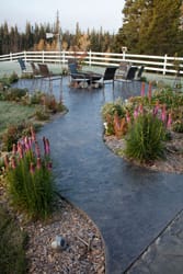 Concrete Patios